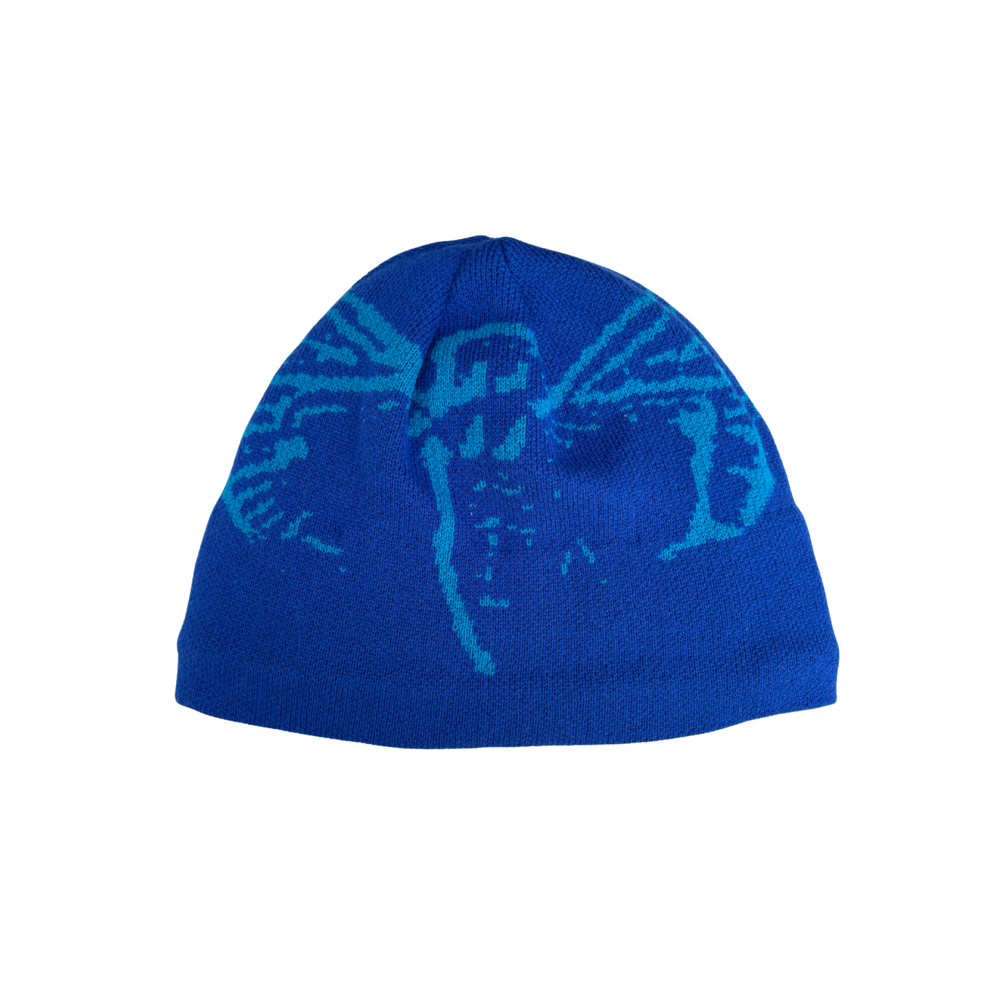 Cicada Beanie