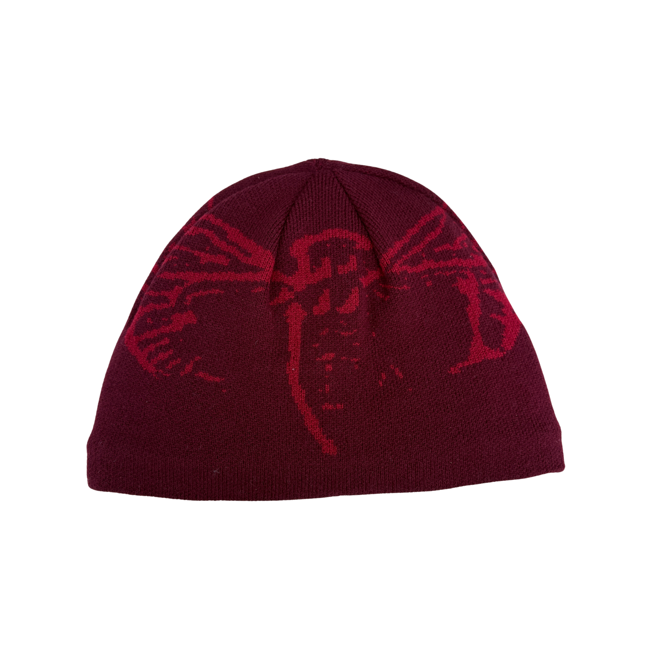 Cicada Beanie