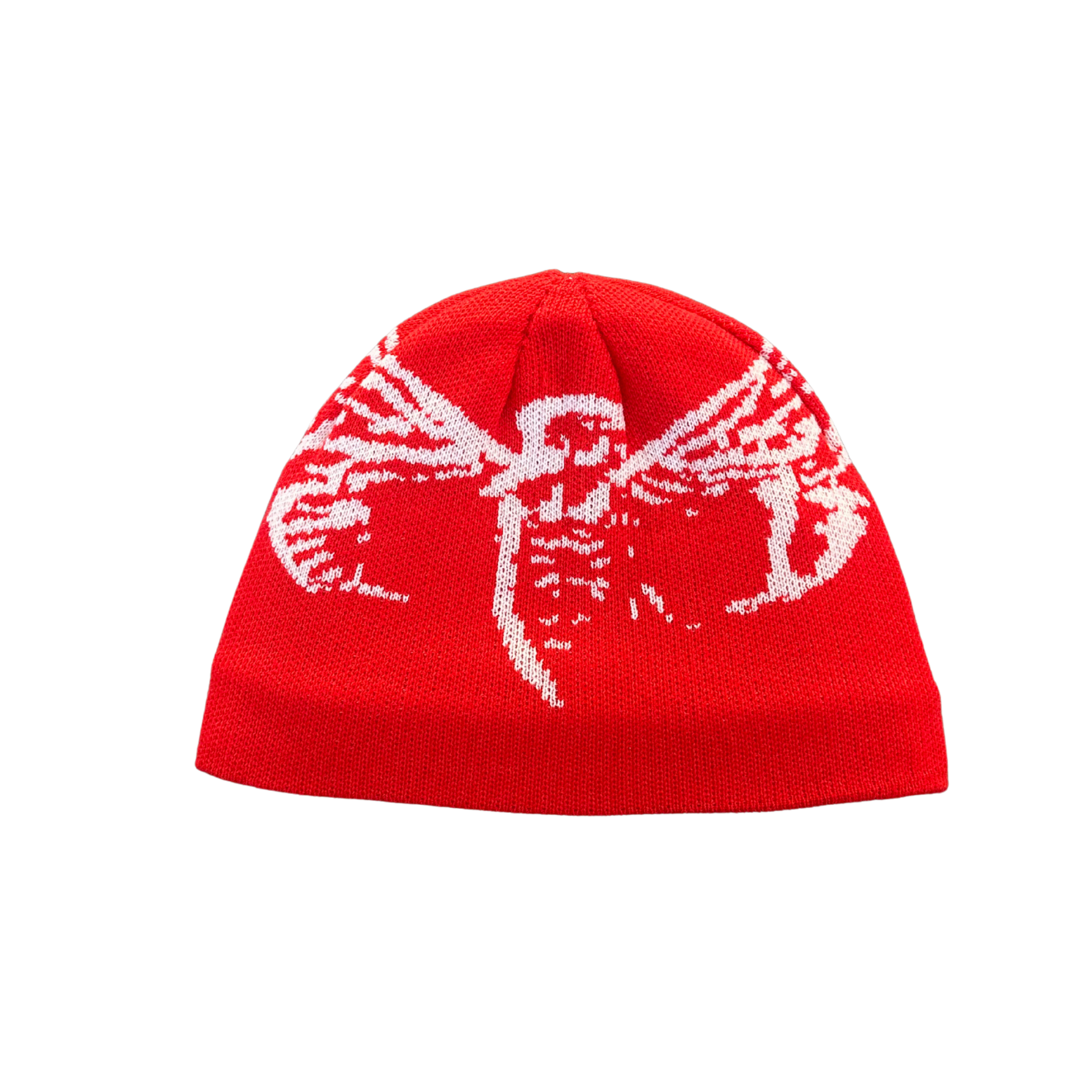 Cicada Beanie