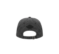 Noel Holler X Divention Leo Cap