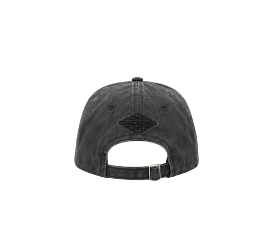 Noel Holler X Divention Leo Cap