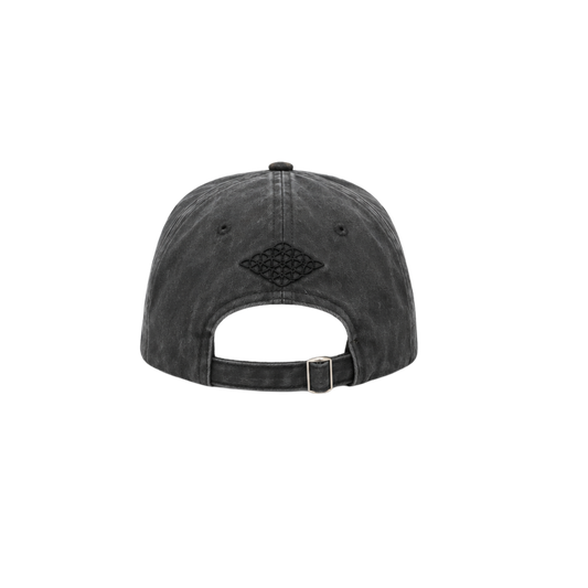 Noel Holler X Divention Leo Cap