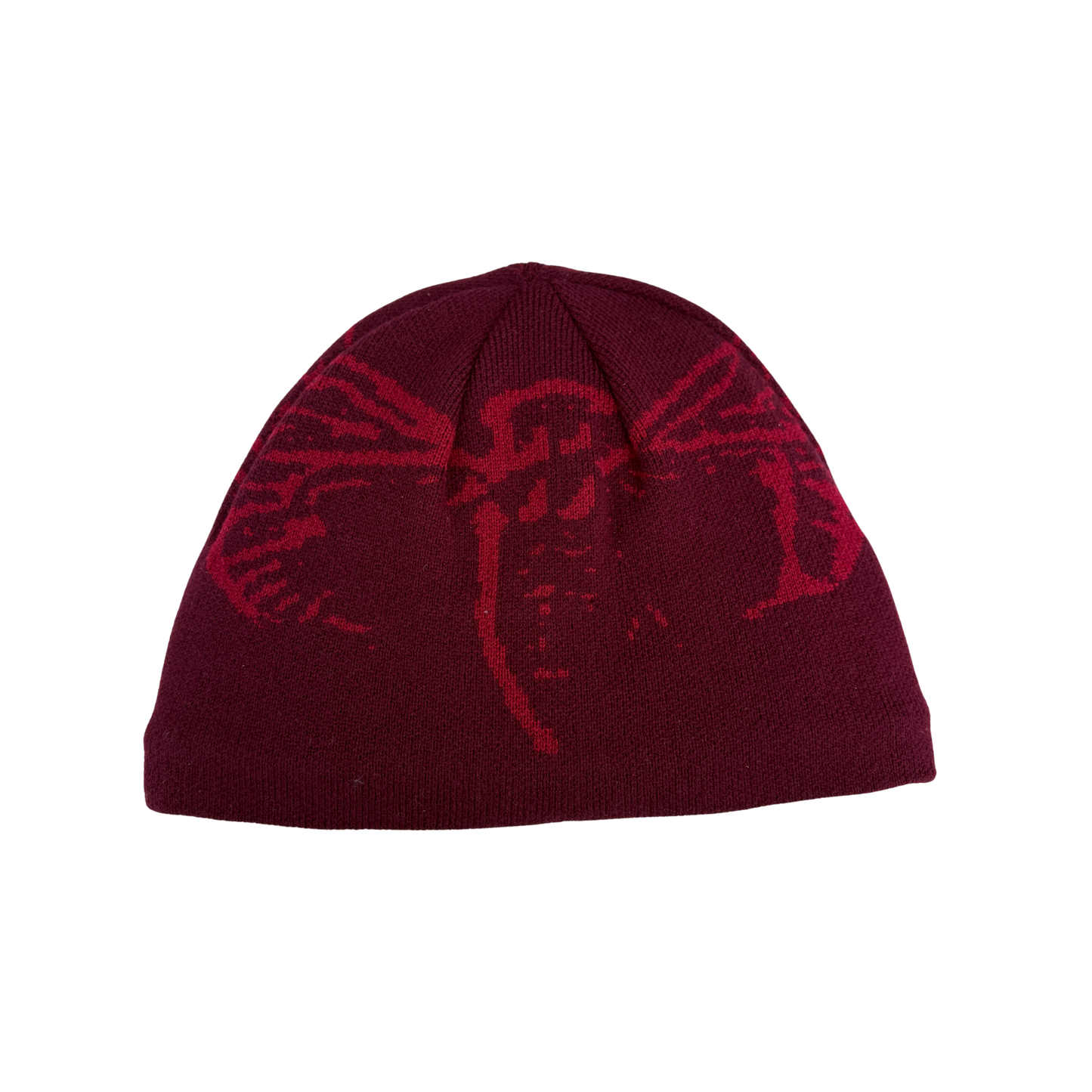 Cicada Beanie