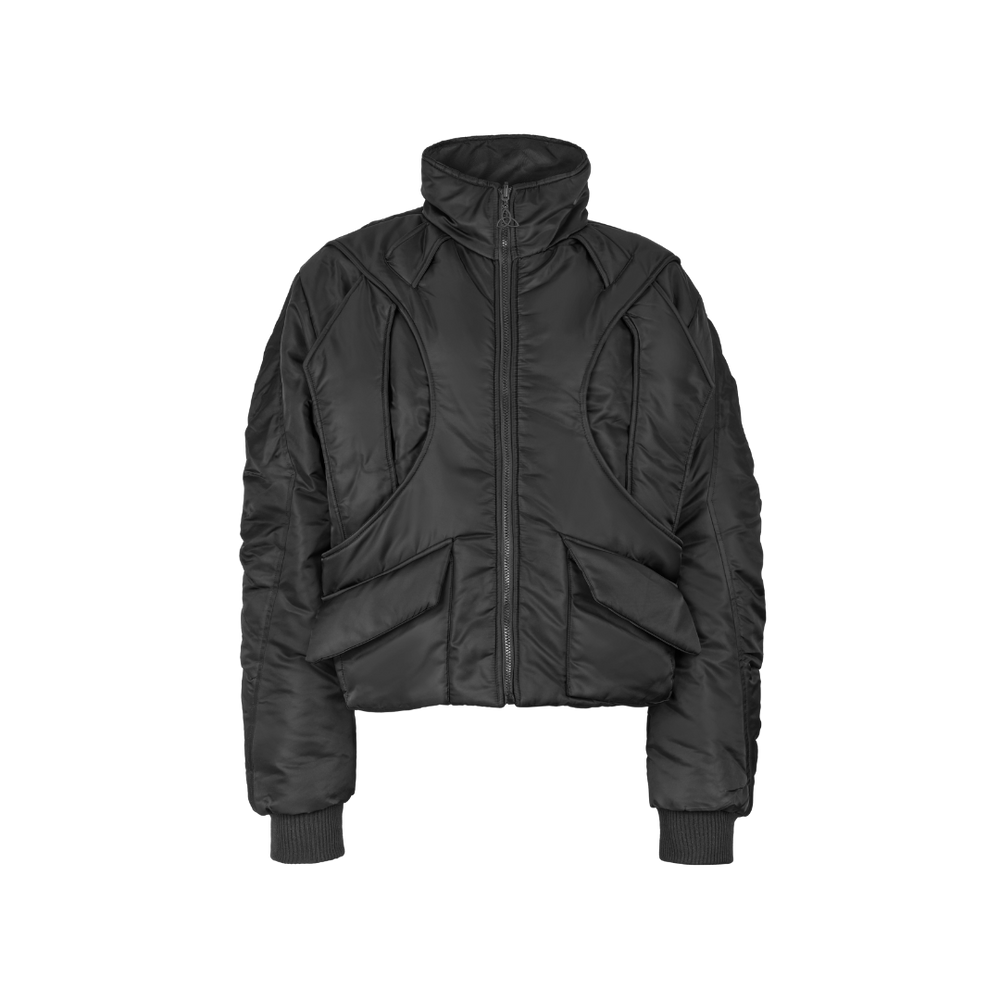 Entity Puffer Bomber